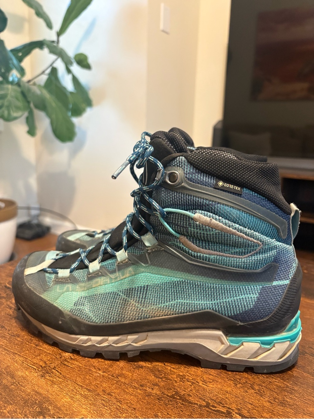 La Sportiva Women's Lace-Up Hiking Boots in Teal and Black